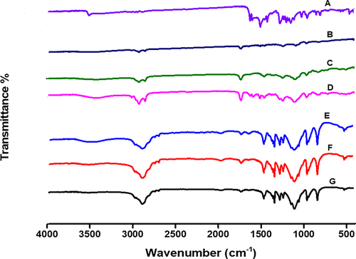 Figure 6 FTIR spectra of (A); Curcumin powder, (B) Physical mixture (Phospholipon® 90G + Polyoxyl 40 Hydrogenated Castor Oil + curcumin), (C) Plain freeze-dried transferosomes, (D) Curcumin transferosomes freeze-dried powder, (E) Freeze dried free curcumin gel, (F) Freeze dried plain gel, and (G) Freeze dried curcumin transferosomes gel. (E-G) show similar absorption bands because all of them share the same composition of gel (Poloxamer 407 and Poloxamer 188, and CP 934P). The absence of characteristic bands of curcumin in the free drug loaded gel formulation (E) may indicate drug-polymer molecular interactions and solid solution formation of curcumin in the polymeric network of the gel. Besides, the disappearance of all the distinguishing bands of curcumin in the freeze-dried curcumin transferosome-loaded gel formulation (G) may be explained by drug dissolution in lipids and encapsulation within the transferosome-loaded gel.