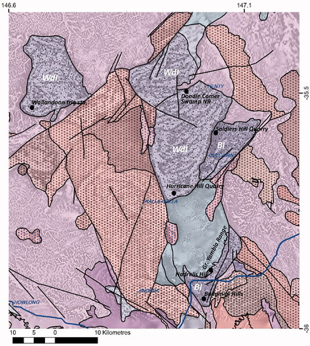 Figure 11. Culcairn Group (see Figure 1 for location). Budginigi Ignimbrite (BI) and Wallandoon Ignimbrite (WdI) are in violet. The majority of BI is a crystal-rich ignimbrite and includes the minor hyaloclastite pumice breccia Hadrells Hill Member at Hadrells Hill, and the Soldiers Quarry Member, a K-feldspar porphyritic coherent rhyolite east of and including Soldiers Hill Quarry. Stippled patterns are from NSW Seamless Geology (Colquhoun et al., Citation2019), the background is grey-scaled total magnetic intensity image, reduced to pole. Other coloured units are predominantly intrusions and are described in detail in Bull (Citation2017).