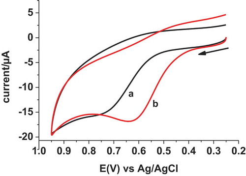 Figure 2. Cyclic voltammograms of (a) UCPE and (b) AQMCPE in pH 5 PBS containing 100 ppm of paracetamol.