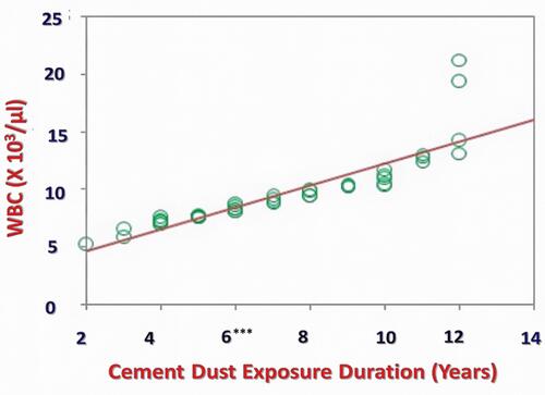 Figure 11 Correlation of duration of cement dust exposure with the total count of WBC in the study group (n=46). Study subjects: cement dust-exposed recruits. r = +0.872, p = <0.001*** [cement exposed group 6 years and onward were highly significantly positive (p = <0.001) with changes regarding WBC].