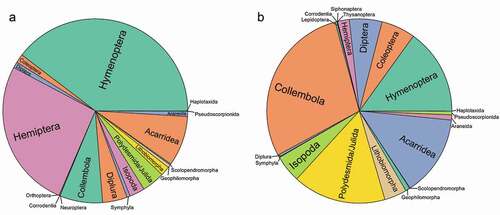 Figure 1. Proportions of population sizes across various soil-animal orders in (a) urban and (b) rural areas