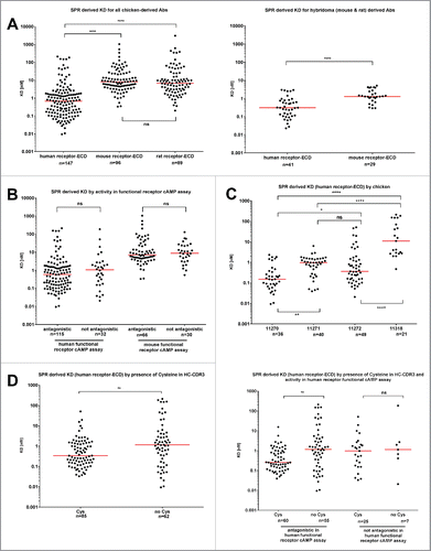 Figure 2. Affinity data measured by surface plasmon resonance for anti-GIPR antibodies. (A) summarizes the SPR-derived KD values for anti-GIPR antibodies. The left side shows chicken-derived antibody affinities against human, mouse and rat-GIP receptor extracellular domain (ECD), whereas the right side provides human and mouse GIP receptor ECD affinities for the legacy mouse and rat hybridoma campaigns for comparison. All affinities are shown, irrespective of whether an antibody is antagonistic or not. (B) breaks down the KD values by the antagonistic activity of the chicken-derived antibodies in human or mouse receptor G specific functional cAMP assays. In (C), antibody KD values are grouped by the host chicken, whereas (D) lists chicken-derived antibody affinities based on whether or not they contain a cysteine in the heavy chain CDR3 (left side), as well as by functional activity against human and mouse GIPR and cysteine content (right side). The red lines indicate the population medians. P-values were calculated using Kruskal-Wallis and Mann-Whitney tests. ns - not significant; * p<0.05; ** p<0.01; *** p<0.001; **** p<0.0001.