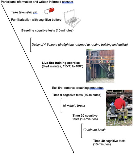 Figure 2. A timeline of activities completed by the participants showing the full experimental procedure.