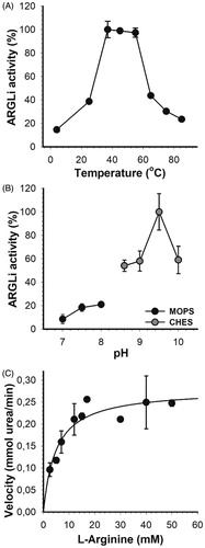 Figure 2. Biochemical characterization of ARGLi. (A) Effect of temperature on ARGLi activity. ARGLi-catalyzed urea production was measured over different temperatures ranging from 5 °C to 85 °C. (B) Effect of pH on ARGLi activity. ARGLi-catalysed urea production was measured over a pH range of 7.0–10.0. MOPS was used as a buffer for pHs 7.0–8.0, while CHES was used for pHs 8.6–10.0. (C) Michaelis–Menten kinetics of ARGLi. Initial velocity was plotted against the concentration of L-arginine. Kinetic parameters (Vmax of 0.28 ± 0.016 mM/min; Km of 5.1 ± 1.1 mM) were determined from the non-linear regression of the Michaelis–Menten curve. Data represent the mean ± SE of three independent measurements.