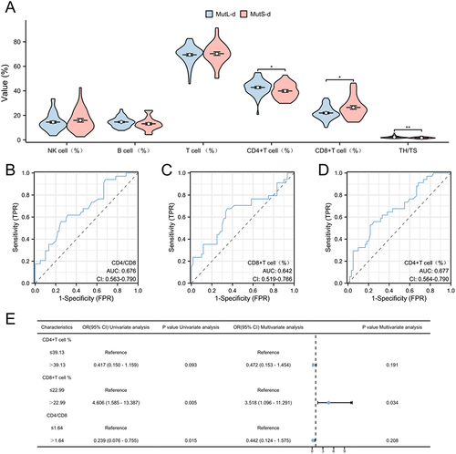 Figure 4 Low CD8+ T cell (%) is an independent risk factor for MutL-d group. (A) Lymphocyte status in the MutL-d and MutS-d groups; (B–D) ROC curves were implemented to obtain the cutoff value of CD4/CD8, CD8+ T cell % and CD4+ T cell % between MutL-d and MutS-d (The solid blue line is the ROC curve and the dashed black line is the reference line). The cutoff values for these indicators were identified: cutoff (CD4/CD8) =1.64, cutoff (CD8+ T cell %) =22.99, cutoff (CD4+ T cell %) =39.13; (E) Logistic regression analyses for MutL-d group, Low CD8+ T cell (%) is an independent risk factor.