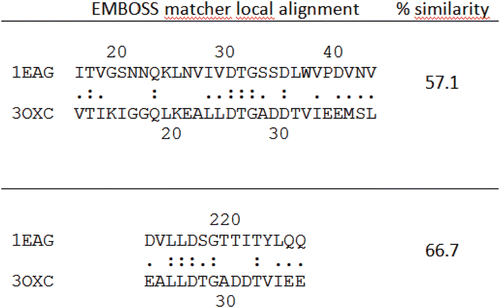 Figure 3.  Sequence comparison between Sap2 (1EAG) and HIV-1 aspartic protease (3OXC) in the active site region performed using EMBOSS matcher pairwise sequence alignment: Sap2 N-terminal domain, top; C-terminal domain, bottom.