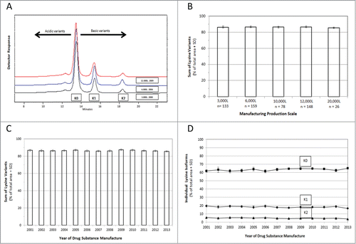 Figure 1. Lysine Profiles of Humira®. Chromatograms of representative batches are displayed in A; 3,000L (Black; 2000), 6,000L (Blue; 2004), 12,000L (Red; 2009). WCX-HPLC was performed on batches of Humira that derived from scale-up production (3,000 to 20,000 liters, B) and through each year 2001 to 2013 (C & D). The chromatograms illustrate the relative retention time and relative peak areas. The relative amount of the 3 C-terminal lysine isoforms (K0, K1, K2) was calculated from the chromatograms as a percent of total area. The mean sum of lysines of multiple batches per data point is presented with standard deviation (n = 544 batches for B and 525 total batches included for C and D). The number of drug substance batches evaluated per data point is displayed in B. For each year 2001 to 2013 (C and D), the number of batches included in each data point is 13, 38, 50, 44, 54, 40, 37, 34, 24, 34, 57, 52, 48, respectively. The mean of individual lysine species (K0 [square], K1 [diamond] & K2 [triangle]) is presented with standard deviation (D).