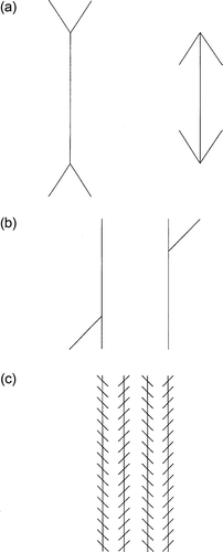 Figure 1. Conventional versions of (a) the Müller-Lyer illusion of unequal lengths; (b) the Poggendorff illusion of misalignment; and (c) the Zöllner illusion of converging and diverging parallels