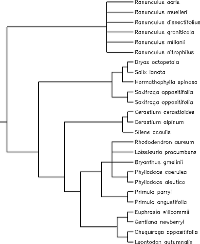 Appendix 2 Phylogenetic tree including the species of the alpine plants data set obtained using the online software utility Phylomatic ( Citation Webb and Donoghue, 2004 ) and constructed with the Citation Davies et al. (2004) phylogeny for angiosperms. We set the branch lengths to unity. Appendix 2