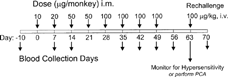 FIG. 1. Monkey comparative hyperimmunization design. Primary dose is emulsified in 1% Tween 80/25% Complete Freunds Adjuvant. All secondary doses are emulsified in 1% Tween 80/25% Incomplete Freunds Adjuvant.