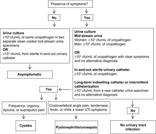 Figure 1 Flow chart for the diagnosis of urinary tract infection in patients with type 2 diabetes mellitus.