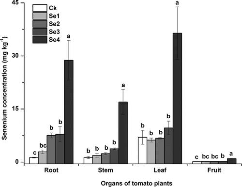 Figure 2. Effects of Se fertilizer application on the Se concentration of tomato plants. Error bars refer to standard deviation values (n=3). The letters above the column indicate differences among treatments (p<0.05). Ck, control. Se1 and Se2 are sodium selenite at 1 mg kg−1 and 5 mg kg−1, respectively. Se3 and Se4 are sodium selenate at 1 mg kg−1 and 5 mg kg−1, respectively.
