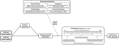 Figure 5. Business-environment interactionist model.