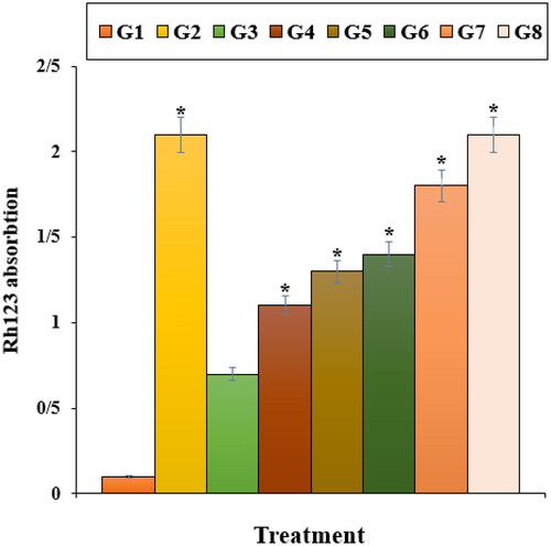 Figure 9. The mitochondrial membrane potential of different treatments after 48 h. G1: Nicotine, G2: Control, G3: 0.1M nicotine and 5 μg of Zn(NO3)2, G4: 0.1M nicotine and 10 μg of Zn(NO3)2, G5: 0.1M nicotine and 5 μg of E. angustifolia, G6: 0.1M nicotine and 10 μg of E. angustifolia, G7: 0.1M nicotine and 5 μg of nanoparticles, G8: 0.1M nicotine and 10 μg of nanoparticles. *Reveal the notable difference (p ≤ 0.01) between other treatments with nicotine treatment.