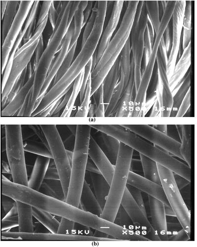 Figure 1. Scanning electron microscope (SEM) picture of (a) 10 oz Denim and (b) A30.
