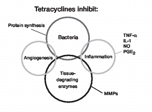 Figure 3.  Mechanisms of action of tetracyclines. Tetracyclines have several non-antimicrobial effects. The ability of these drugs to inhibit matrix metalloproteinases is well established. Based on this mechanism, tetracyclines have shown clinical effects on rheumatoid arthritis and periodontitis. Doxycycline and minocycline are the two tetracyclines that have been studied most extensively. TNF: tumor necrosis factor; IL: interleukin; NO: nitric oxide; PG: prostaglandin.