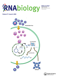 Cover image for RNA Biology, Volume 17, Issue 6, 2020