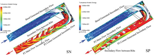 Figure 10. Secondary flow in SN and SP channel (Re = 30000; Left: SN; Right: SP).