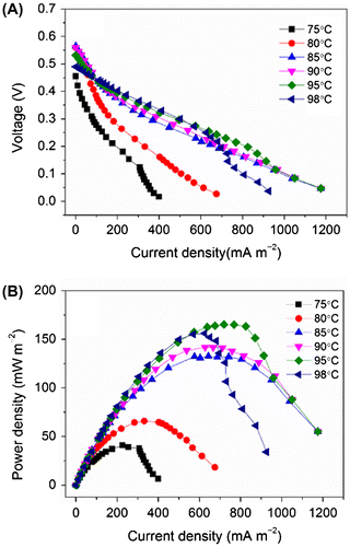 Fig. 3. Effects of the operating temperature on the performance of the hyperthermophilic microbial fuel cell. (A) Polarization curves and (B) power-density curves.