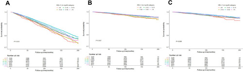 Figure 2 Kaplan–Meier survival curves for all-cause (A), cardiovascular (B), and cancer (C) mortality.