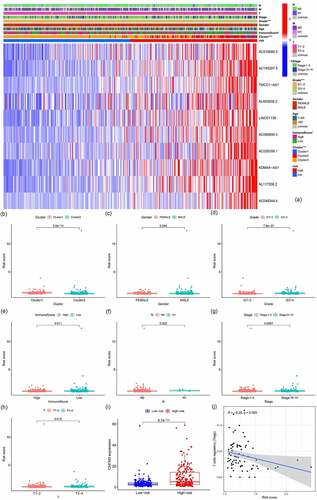 Figure 9. Correlation analysis of risk, immune cells, and clinical and genetic differences analysis of the target gene