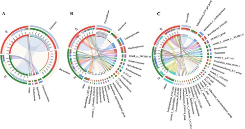 Figure 3. Circos plot of the composition of the intestinal bacterial community at different taxonomic levels; A, Phylum; B, Family; C, Genus.