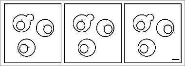 Figure 6. Do not rely on the figure legend. Readers of your paper should not have to look at the figure legend to understand the most basic points about your figure.