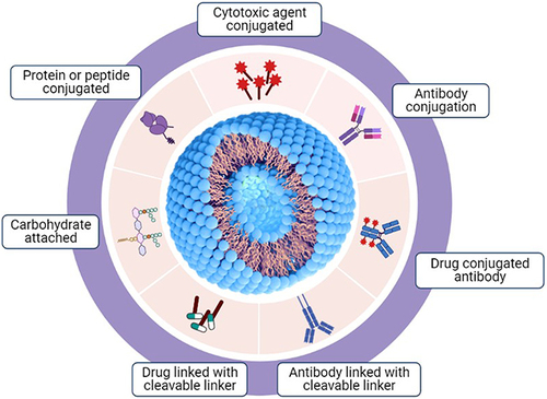 Figure 2 Various types of modifications and conjugations on lipid-based nanocarriers for drug delivery.
