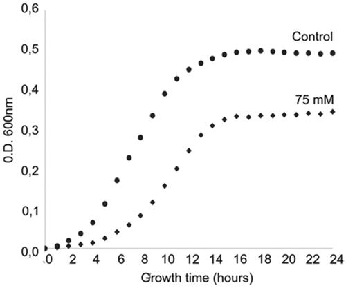 Figure 1. Growth curves results in Saccharomyces cerevisiae BY4741 in the presence of 75 mM of buphedrone.