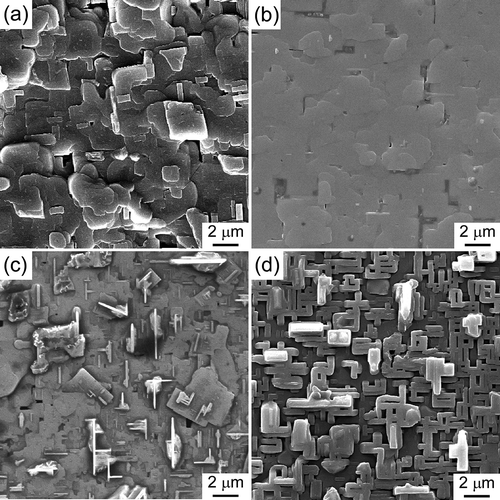 Figure 4. Surface SEM images of SmBCO films prepared on LAO substrate with PO2 of (a) 125, (b) 200, (c) 250 and (d) 300 Pa