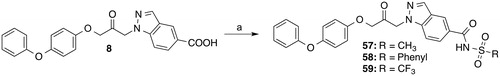Scheme 6. Reagents and conditions: (a) Methanesulfonamide (57), benzenesulfonamide (58) or trifluoromethanesulfonamide (59), 4-(dimethylamino)pyridine, CH2Cl2, EDC, room temp., 20–42 h.