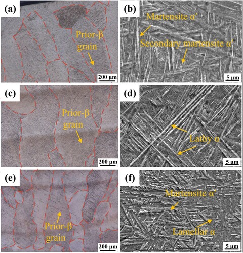 Figure 5. Cross-sectional morphology and microstructure of different areas of as-built sample:(a) and(b) upper area; (c) and(d)middle area; (e) (f) bottom area.