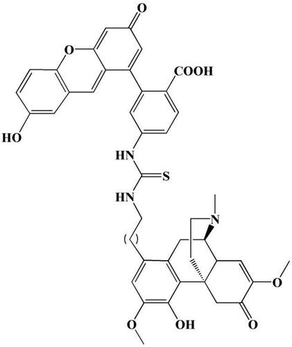 Figure 2. The chemical structure of the SIN fluorescent label.