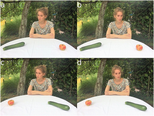 Figure 1. Example photographs of a single scene. Gaze direction and objects were balanced over participants. In total, 104 photographs of 26 scenes were used. Please note that since we did not obtain permission for publishing the original stimuli, this image shows an example that was not used in the experiment but taken post-hoc in order to illustrate the generation of the stimulus set.