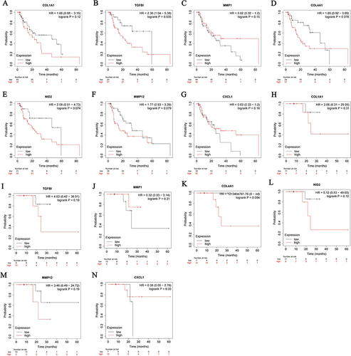Figure 9 Correlation analysis of hub genes with overall survival (OS) and relapse-free survival (RFS) of EAC patients. Based on the RNA-seq data of EAC tissues in the TCGA database, the online tool Kaplan-Meier Plotter was used to analyze the correlation between hub genes and OS (A–G) and RFS (H–N) of EAC patients.