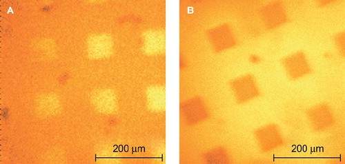 Figure 3. Adsorption of tryptic soy broth visualized with a time of flight secondary ion mass spectrometer (ION-TOF, Münster, Germany) on A) patterned titanium and B) DLC. Background of the square patterns is silicon. The colour indicates the concentration of bound molecules and is the reason for different colours of silicon in the two samples shown.