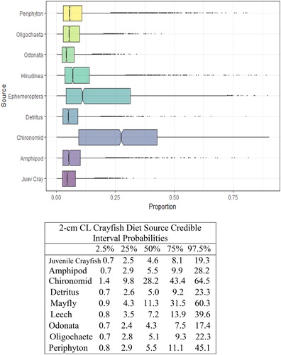 Figure 4. Proportional diet contributions and credible intervals from 9 littoral food sources for 2 cm CL northern crayfish in Buffalo Lake (n = 10). Members of the second smallest size class of northern crayfish obtained for this stable isotope analysis were trapped in baited minnow traps spatially stratified throughout Buffalo Lake in depths ranging from 1 to 5 m. The wide distribution in credible intervals implies a large amount of uncertainty in the percent contribution estimates for littoral prey items; however, we observe a potential ontogenetic diet shift between 1 cm CL and 2 cm CL northern crayfish in Buffalo Lake. From a largely generalist diet anchored by detritus and periphyton to a diet dominated by Ephemeroptera and Chironomidae.