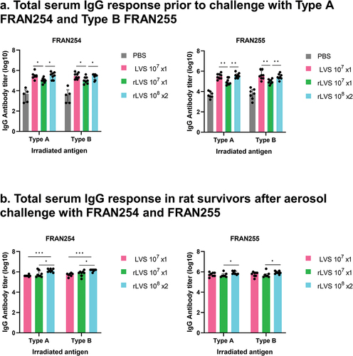 Figure 6. Total serum IgG antibody in rats immunized with rLVS vaccines prior to and post challenge with Type A F. tularensis FRAN254 or Type B FRAN255 strain. Animals were immunized and challenged as described in the legend to Figure 3. Sera were collected in immunized rats prior to and after challenge with Type A or Type B strains and assayed for total IgG antibody specific to irradiated FRAN244 (Type A antigen) and FRAN255 (Type B antigen). (a). Prior to challenge; All vaccinated groups in Panel a had significantly greater titers than the PBS group (p <0.01-p <0.0001). (b). Post challenge (survivors only). Values represent median with interquartile range (Q1 and Q3 for the whiskers) of serum antibody titers for n = 6–8/group. * p < 0.05; ** p <0 .01; and *** p < 0.001. Additional descriptive statistical values are included in Supplemental Tables S6,7.