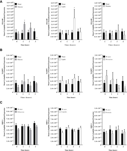 Figure 2 hNAA40, NAMPT, and SIRT-1 mRNA expression levels in PBMC following (A) glucose; (B), Whey proteins; and (C) lipids at 0, 1, 2, and 3 hrs post-caloric challenge. Results are presented as Mean ± S.E.M. *P<0.05 vs water intake; n=12 per group.