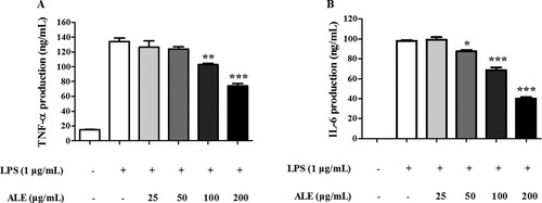 Figure 4. The inhibitory effect of ALE on cytokine production. RAW 264.7 cells were treated with 25, 50, 100, or 200 μg/mL of ALE for 4 h followed by LPS stimulation. ELISAs were used to measure the production of the proinflammatory cytokines, TNF-α (A) and IL-6 (B). The data are expressed as means ± S.D. (n = 4). **p < .01, ***p < .001 compared to LPS-treated cells.