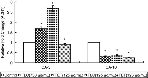 Figure 5. The expression levels of the energy metabolism gene ADH1 in fluconazole-sensitive CA-3 and resistant CA-16 cells that were either treated with FLC and/or TET relative to those in untreated cells. The ratios represent the mean ± standard deviations for three independent experiments. *p < 0.05 versus control cells.