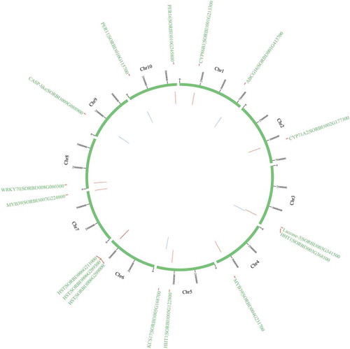 Figure 10. The physical locations of candidate genes involved on chromosomes based on BLAST results against the whole-genome sequencing dataset. Red color indicates the genes on the sense sequence and green color indicates the genes on the antisense strand.