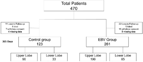 Figure 1. Study flow chart. All 470 patients had initial FEV1 measurements. The patients were divided into two groups, upper and lower lobe, based on treatment lobe. Total patients at baseline and at 365 days by group are represented. EBV: Endobronchial Valve.