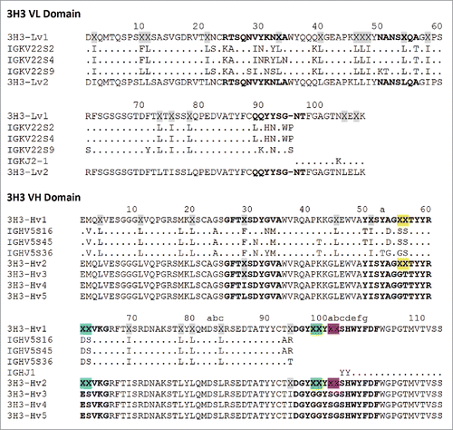 Figure 5. 3H3 variable domain sequences described in this work. 3H3-Lv1/Hv1 represent the initial assembly of proteomic data into light and heavy V-domain sequences, where X represents ambiguous regions of sequence (gray highlighting = 113 Da; yellow = 158 Da; blue = 216 Da; green = 114 Da; magenta = 144 Da). An alignment of this draft to closest V and J translated germline gene segments is show below (a germline D-segment could not be assigned based on the initial draft sequence). 3H3-Lv2/Hv2 were refined draft sequences, as described in Table 1, and ambiguous regions in this light/heavy pair were programmed into 2 Fab phage display libraries. Further refinement after phage display led to 3H3-Lv2/Hv3, and finally 2 unique light/heavy pairings (3H3-Lv2/Hv4 and 3H3-Lv2/Hv5) that were part of recombinant Fabs. Sequence numbering is according to Kabat et al.Citation18 CDRs are shown in bold and were defined according to the sequence definition of Kabat et al.,Citation18 except for CDR-H1, which is the combined sequence and structural definition.Citation19