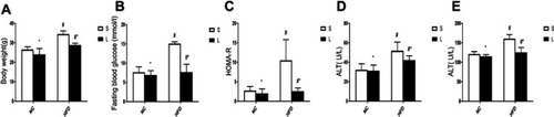 Figure 3 Body weight, fasting blood glucose levels, HOMA-IR scores, ALT and AST in mice after Liraglutide (L) or saline (S) treatment. Data were mean±SD (n=6 each group). (A) BW; (B) FBG level; (C) HOMA-IR score; (D) ALT; (E) p-values for the interactive effects of HFD and Liraglutide treatment on BWs, FBG levels, HOMA-IR scores, ALT and AST were 0.055, 0.001, 0.005, 0.185 and 0.001, respectively. *p<0.05 for comparison between saline and Liraglutide treatments. #p<0.05 for comparison between NC and HFD groups.