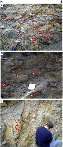 Figure 8. Structures in intra-shear schist (i.e. Hyde-Macraes Shear Zone). A, Subhorizontal brittle shear zone with high angle normal faults mainly above subhorizontal shear zone; relative displacement marked by red arrows showing top-to-the-north shearing. B, Similar structure as in A with less abundant high angle normal faults. C, Steeply northwest-dipping c. 40 cm thick normal fault. All photographs from locality II in Figure 3.