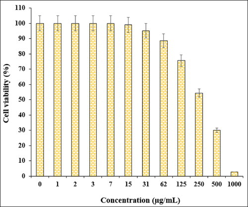 Figure 10. The cytotoxicity potentials of Fe3O4@Starch/Cu against SW 626 cell line.