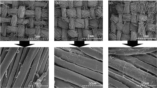 Figure 3. SEM images for (a) untreated, (b) chitosan pretreated and (c) chitosan pretreated and dyed flax fabrics.