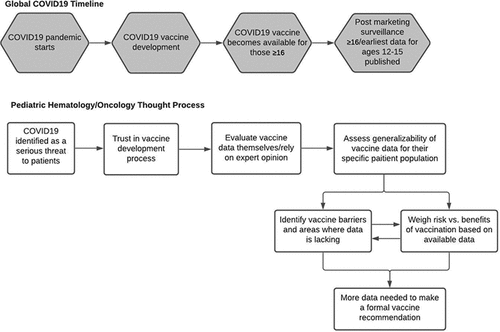 Figure 1. Provider thought process.