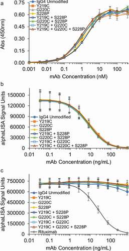 Figure 7. Hinge mutations do not affect antigen, FcRn or FcγRIIIa binding in vitro. (a) Antigen binding of the IgG4 mAbs with the indicated hinge mutations were compared to the unmodified IgG4 in an ELISA assay. An isotype control demonstrated no binding up to 5000 nM (not shown). Data represent the mean ± SD of duplicate experiments. (b) FcRn and (c) FcγRIIIa binding for the IgG4 s with hinge mutations were compared to the unmodified IgG4 in AlphaLISA assays. Rituximab was run as a known positive control in the FcγRIIIa AlphaLISA. Data represent the mean ± SD of duplicate independent experiments.